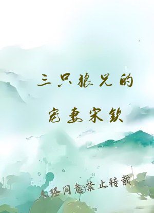 三只狼兄的宠妻宋钦