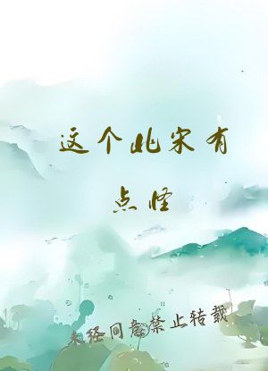 这个北宋有点怪